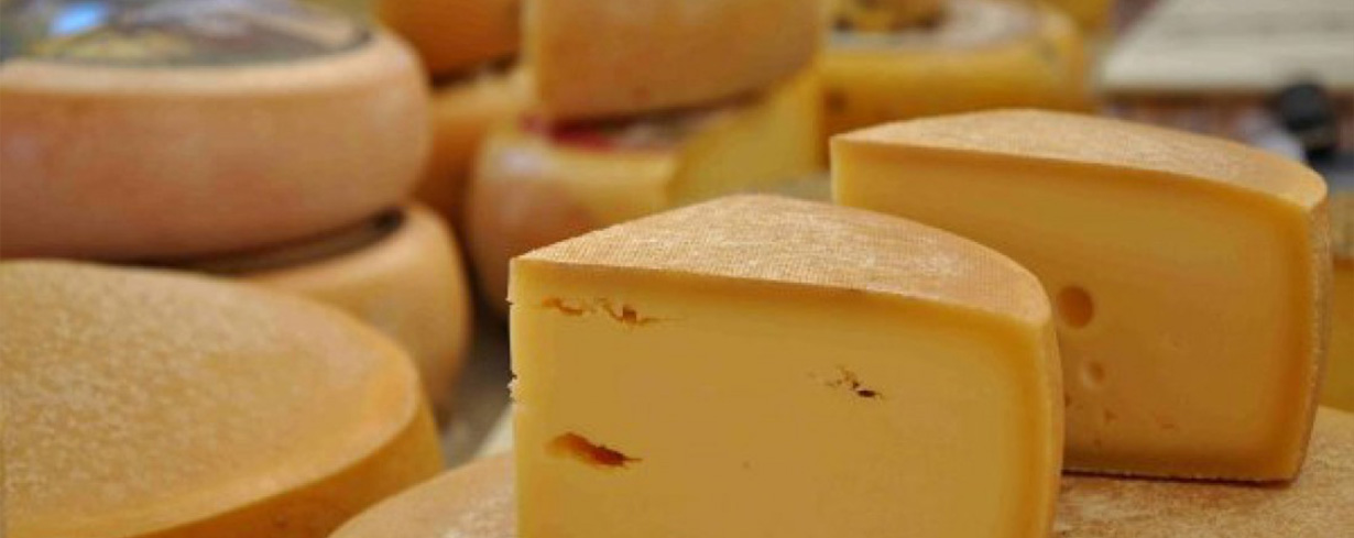Laibe und angeschnittene Stücke Allgäuer Hartkäse mit glatter Rinde auf einem Marktstand