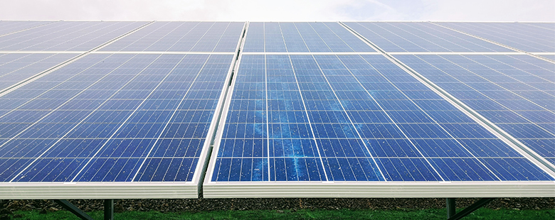 Großflächige Photovoltaikanlage mit blauen Solarpanels auf einer Grünfläche